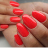 Reforma-Gel Polish Moulin Rouge 10g - 6