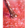 Makear - S66 Lakier hybrydowy, 8ml - 3