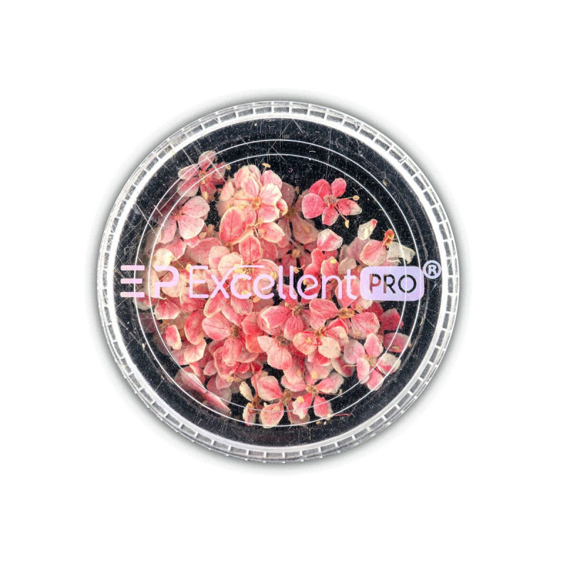 Excellent PRO - Deco Dry Flowers 001, 50szt - 1 Excellent PRO - Deco Dry Flowers 001, 50szt - 1
