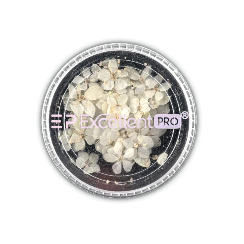 Excellent PRO - Deco Dry Flowers 004, 50szt - 1 Excellent PRO - Deco Dry Flowers 004, 50szt - 1