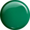 VICTORIA VYNN gel polish color 221 Green Grass 8ml