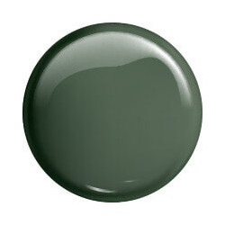 VICTORIA VYNN gel polish color 209 DUSTY GREEN 8ml - 2