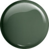 VICTORIA VYNN gel polish color 209 DUSTY GREEN 8ml - 2