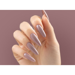 VICTORIA VYNN - Pure Creamy Hybrid 244 Field Wind, 8ml - 3